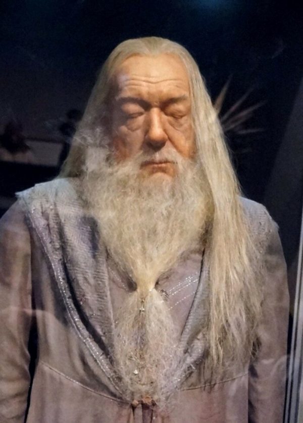 Albus Dumbledore Harry Potter Par J K Rowling